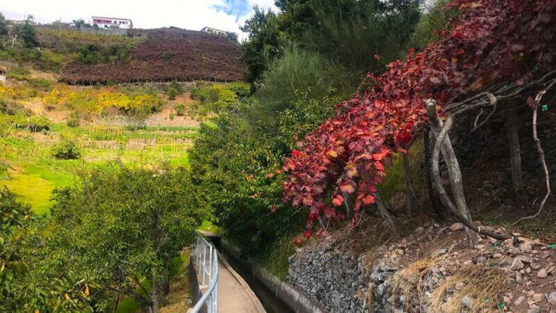 Funchal: Northern Levada Walking Tour - Flexibility and Booking Options