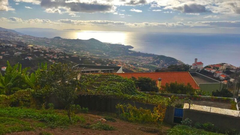Funchal: Northern Levada Walking Tour - Comparing Similar Levada Tours in Madeira