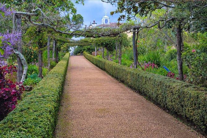 Funchal Old Town & Palheiro Gardens Private Tuk Tuk Tour - The Guide’s Role in Bringing Madeira to Life
