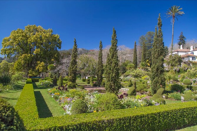 Funchal Old Town & Palheiro Gardens Private Tuk Tuk Tour - Comfortable Transportation with Added Comfort Items