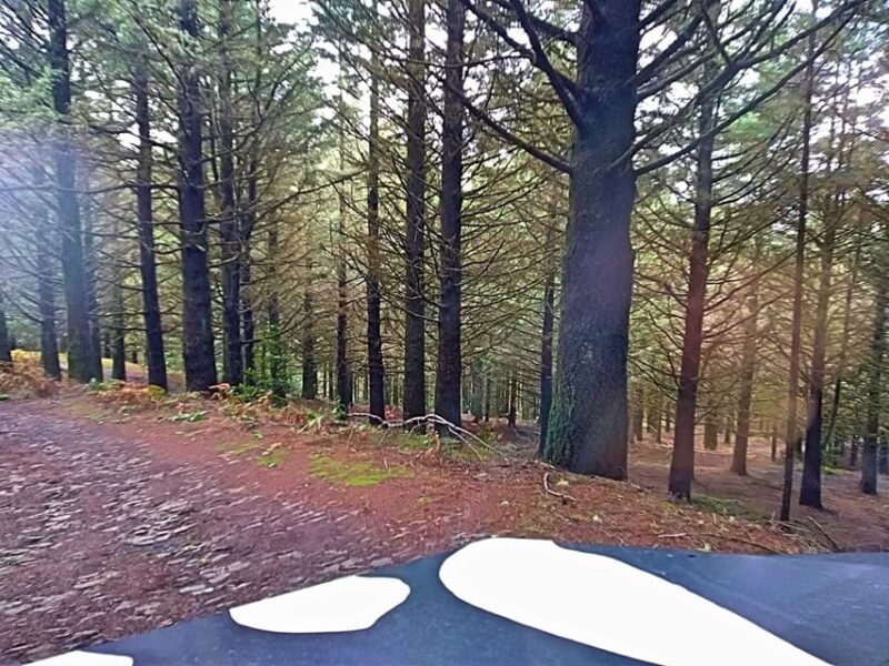 Funchal: Pico do Areeiro to Santana 4x4 East Tour - Visiting Santana’s Traditional Houses