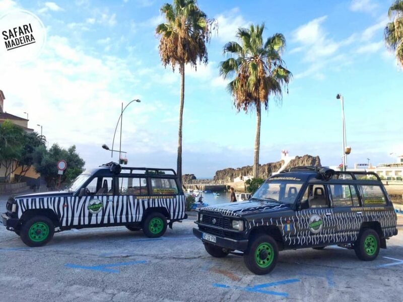 Funchal: Pico do Areeiro to Santana 4x4 East Tour - Admiring the Views at Guindaste and Ponta do Rosto