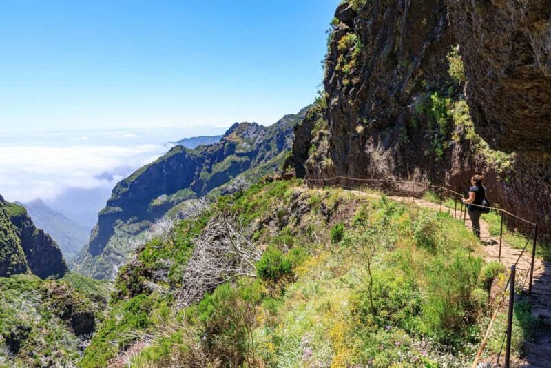 Funchal: Pico Ruivo & Achada do Teixeira Hiking Transfer - Key Points