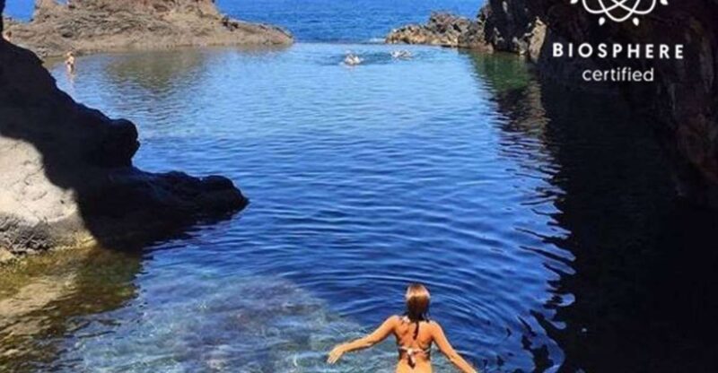 Funchal: Porto Moniz, Seixal, Fanal, and Cabo Girão Tour - Walking Through Fanal Laurissilva Forest