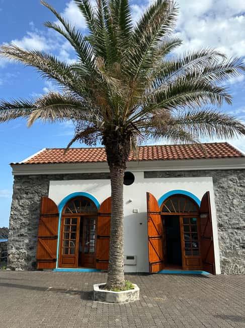 Funchal: Private Madeira North Coast Tour with Pickup - The Viewpoint at Brides Veil: Dramatic Ocean Horizons