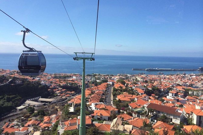 Funchal Private Vehicle Service with Driver for a Half Day or Full Day - Vehicle Options and Capacity