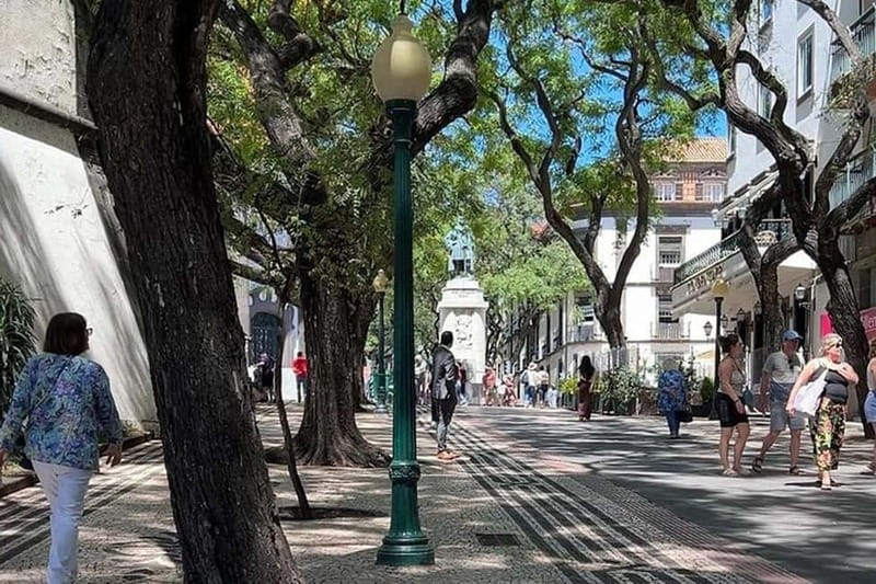 Funchal: Quick & Fun 30-Minute Tuk Tuk Tour with Local Guide - Key Points