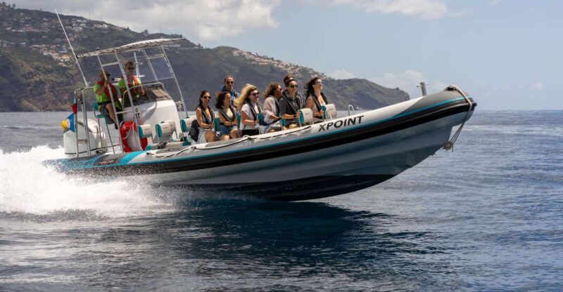 Funchal: RIB Whale Watching Cruise and Optional Dolphin Swim - Exciting Marine Wildlife Encounters with Madeira’s RIB Whale Watching Tour