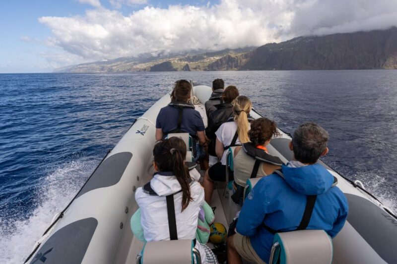 Funchal: RIB Whale Watching Cruise and Optional Dolphin Swim - Watching for Dolphins, Whales, and Marine Life