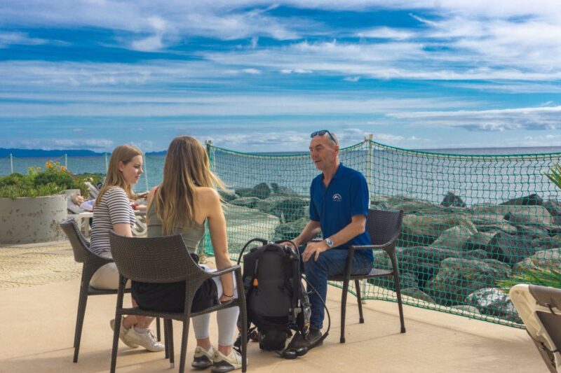 Funchal: Scuba Diving Experience for Beginners - The Training and Ocean Experience: Step-by-Step