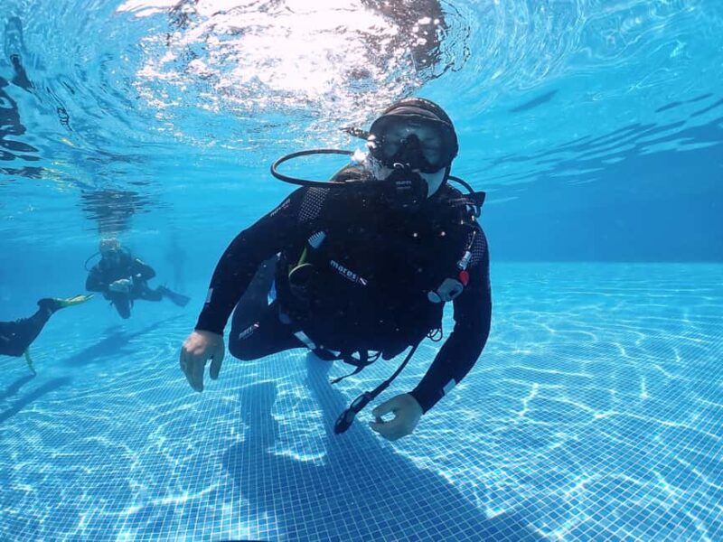 Funchal: Scuba Diving Experience for Beginners - Discovering Madeira’s Marine World: The Funchal Scuba Dive for Beginners