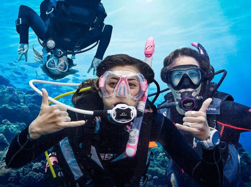 Funchal: Scuba Diving Experience for Beginners - The Role of Expert Guides in Creating a Safe Environment