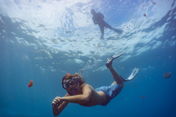 Funchal: Snorkeling Adventure in Eco-Park / Shore or by Boat - Snorkeling in Madeira’s Eco-Park: What Makes It Special