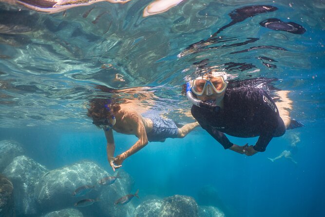 Funchal: Snorkeling Adventure in Eco-Park / Shore or by Boat - Guided Boat Snorkeling in Madeira’s Marine Reserve