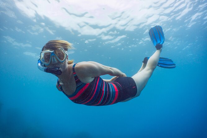 Funchal: Snorkeling Adventure in Eco-Park / Shore or by Boat - Locating the Dive Center: Practical Access Tips