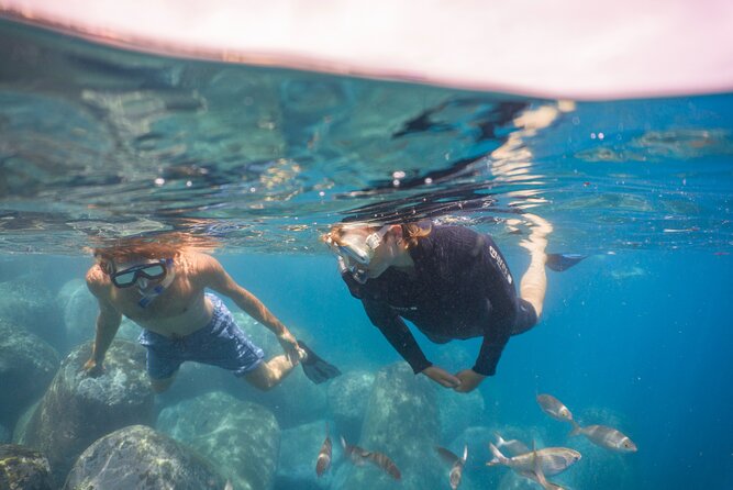 Funchal: Snorkeling Adventure in Eco-Park / Shore or by Boat - Weather and Cancellation Flexibility