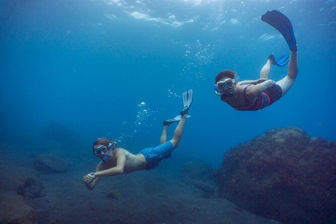 Funchal: Snorkeling Adventure in Eco-Park / Shore or by Boat - Who Should Consider This Tour