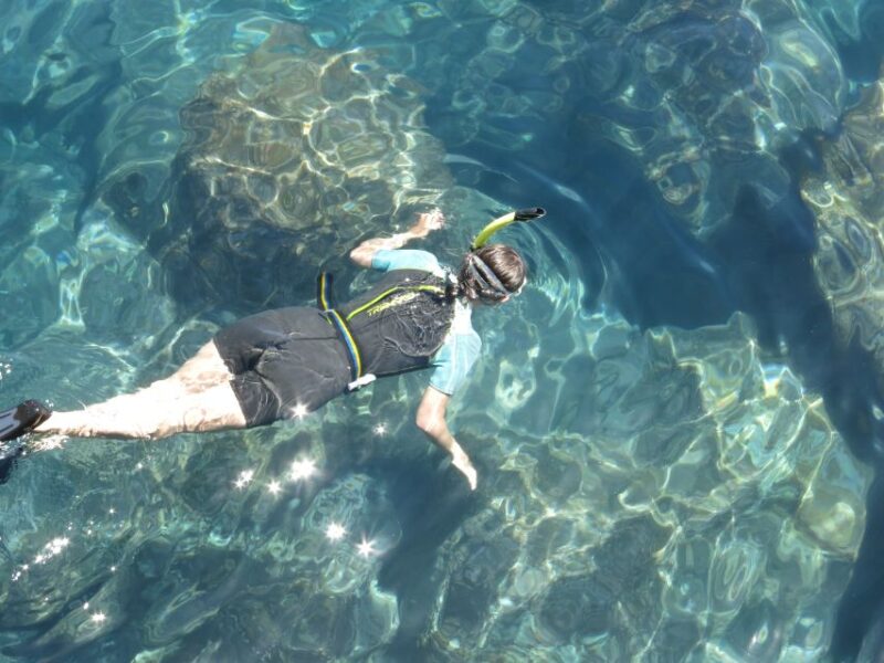 Funchal: Snorkeling Adventure in Eco-Park / Shore or by Boat - The Scenic Views from the Water