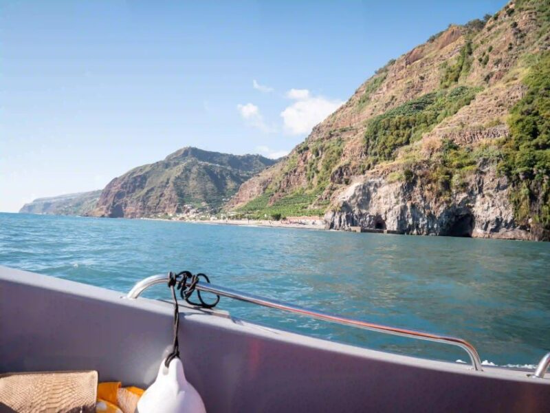Funchal: Speedboat SEE THE ISLAND AND LIFE AT SEA - Mid-Tour Swim and Marine Encounters