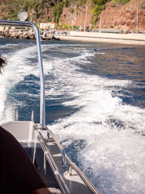 Funchal: Speedboat SEE THE ISLAND AND LIFE AT SEA - Pacing and Experience Quality