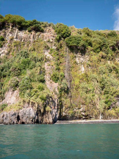 Funchal: Speedboat SEE THE ISLAND AND LIFE AT SEA - Practical Tips for Participants
