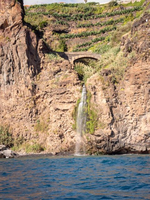 Funchal: Speedboat SEE THE ISLAND AND LIFE AT SEA - Pricing, Cancellation, and Booking Flexibility