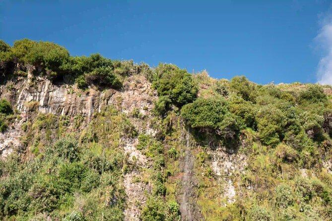 Funchal: Speedboat tour- SEE THE ISLAND AND LIFE AT SEA - Discover Madeira’s Cliffs, Coves, and Terraces