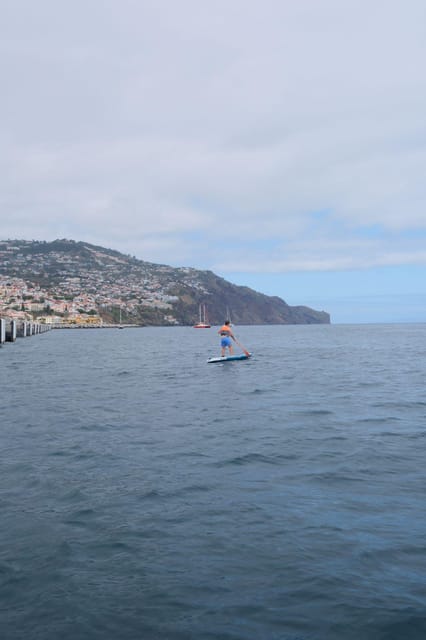 Funchal: Standup Paddle - Meeting Point and Availability in Funchal