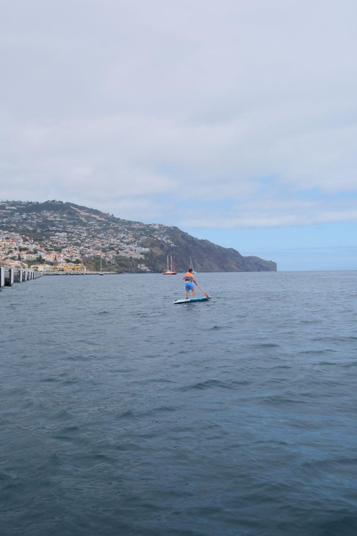 Funchal: Standup Paddle - Limitations and Tips for Participants
