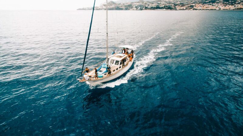Funchal: Sunset Sailing Tour - Swimming and Snorkeling at Cabo Girão