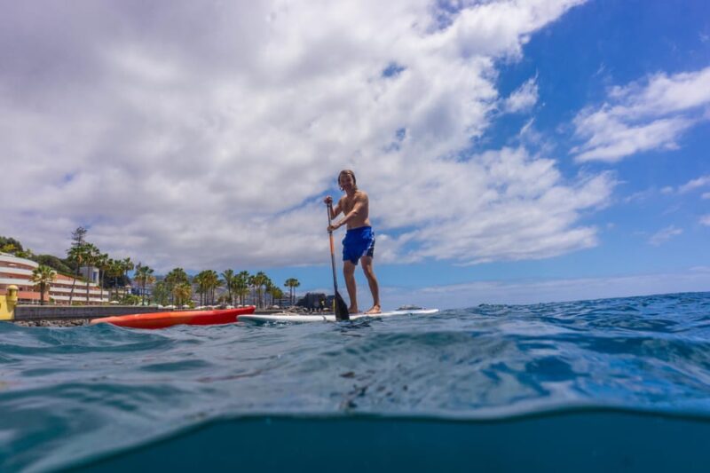 Funchal: SUP Rental or Guided tour with snorkeling - Exciting Stand Up Paddleboarding and Snorkeling in Funchal for Just $33