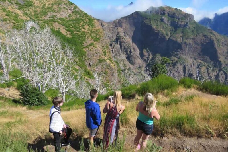 Funchal: Surprise Madeira Highlights for Cruise Guests - Key Points