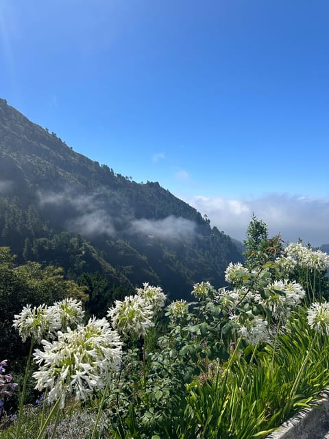 Funchal: Valley of the Nuns tour by tuk tuk - Funchal: Valley of the Nuns tour by tuk tuk — An exhilarating 3-hour adventure in Madeira