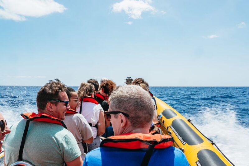 Funchal: Whale and Dolphin Watching Speed Boat Tour - Enhancing the Experience with Land Lookouts and Educational Briefings