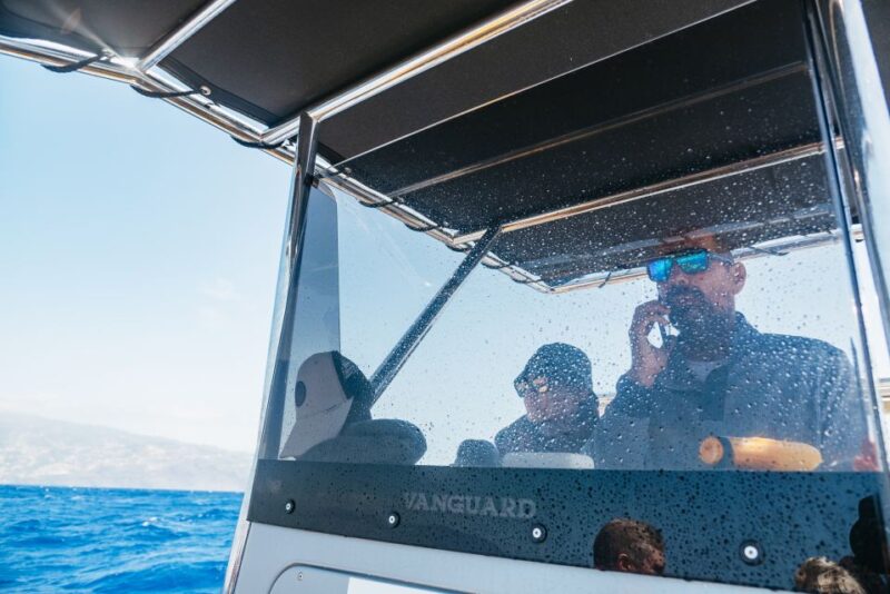 Funchal: Whale and Dolphin Watching Speed Boat Tour - The Experience of the Guides and Crew