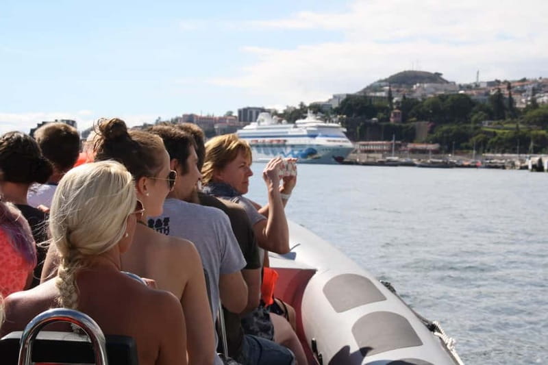 Funchal: Whale Watching and Swimming with Dolphins Cruise - Key Points