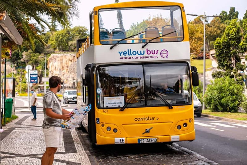 Funchal:Hop-on Hop-off Bus & Whale & Dolphin boat Excursion - Explore Madeira with a 2-Day Hop-on Hop-off Bus & Whale & Dolphin Excursion