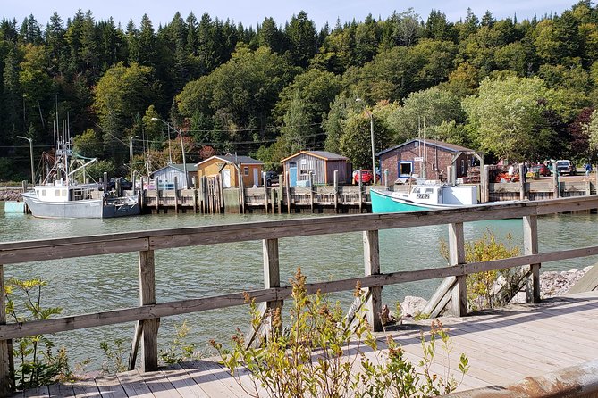 Fundy Coast to Fundy Shore Tour - The Scenic Caves and Rocky Beaches