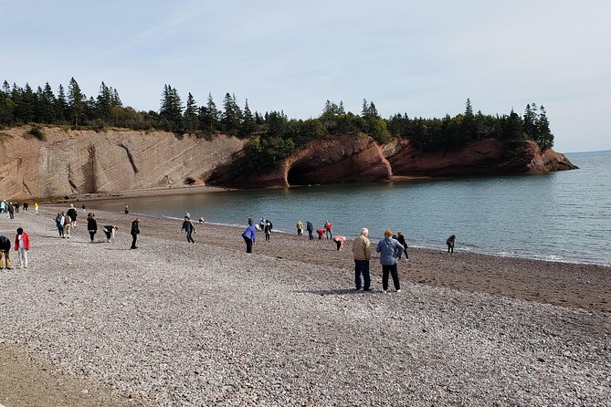 Fundy Coast to Fundy Shore Tour - The Role of the Guide and Group Size
