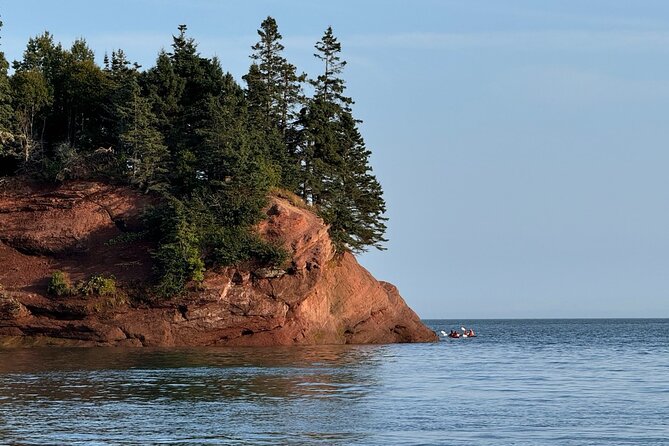 Fundy Shore Tour By Bus - Discover the Fundy Shore in an Intimate Setting