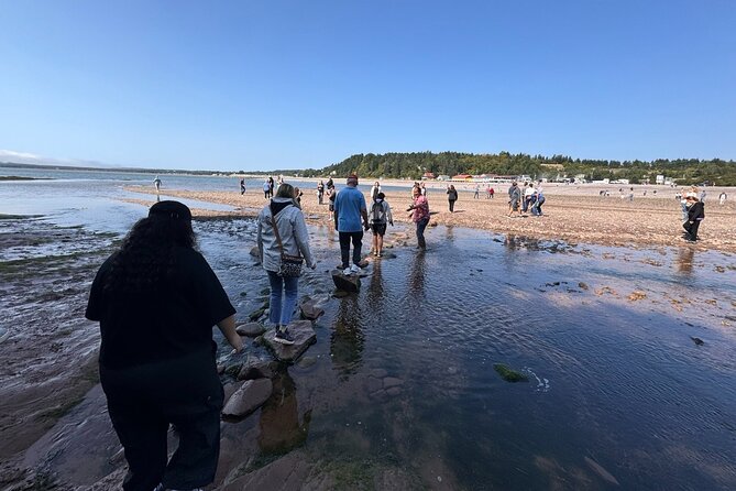 Fundy Shore Tour By Bus - St. John City Market and Local Flavors