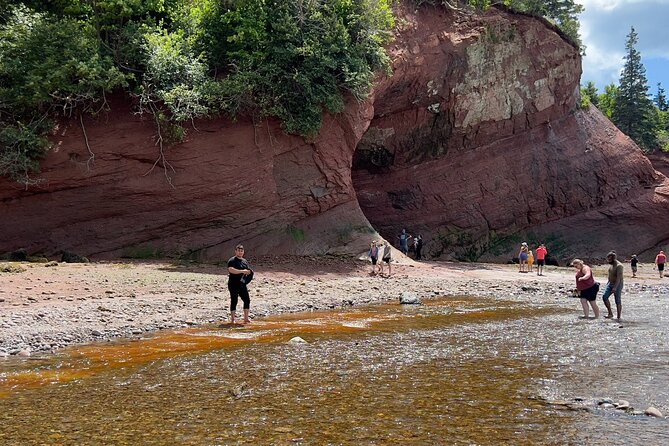Fundy Shore Tour - Marveling at the Stone Church and Rockwood Park