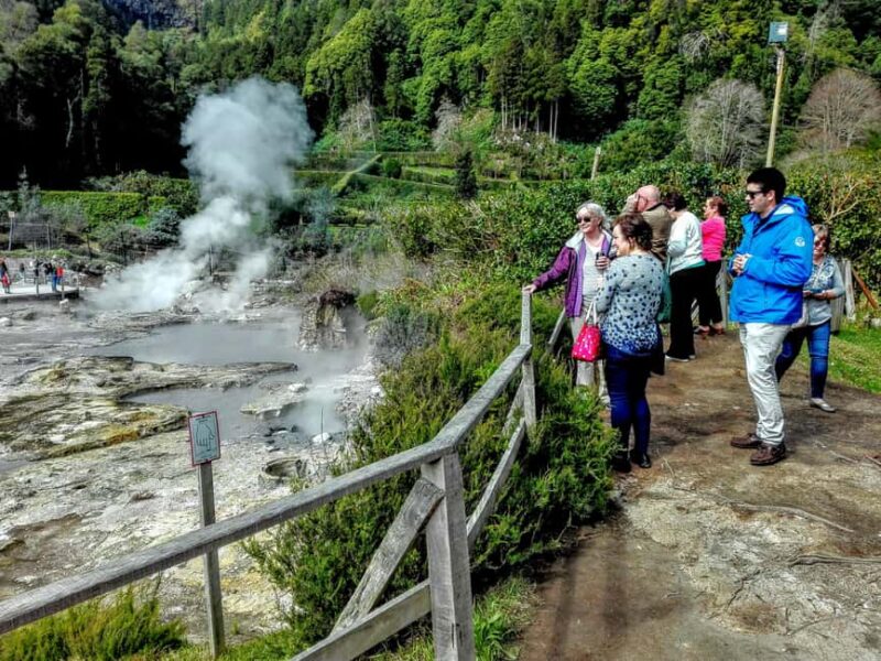 Furnas: Experience of hotsprings, Botanical Gardens, Lake - Key Points