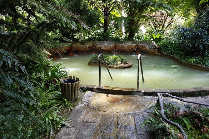 Furnas Full Day Tour | Full Day Furnas Tour (Min. 2 Persons) - Discovering the Thermal Wonders of Caldeira das Furnas