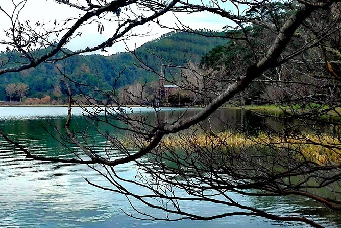 Furnas Lake Hotsprings and Gardens Van Tour - Key Points