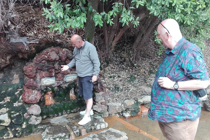 Furnas Lake Hotsprings and Gardens Van Tour - Vila Franca do Campo and Scenic Viewpoints