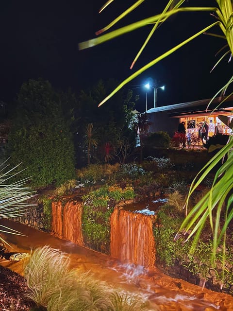 Furnas: Mystic Tour (w/Dinner) - Hot Springs - Value and Price Considerations