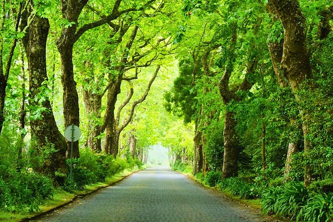 Furnas: Mystic Tour (w/Dinner & Thermal Springs) - Discover Furnas with an Expert Guide and Authentic Local Cuisine