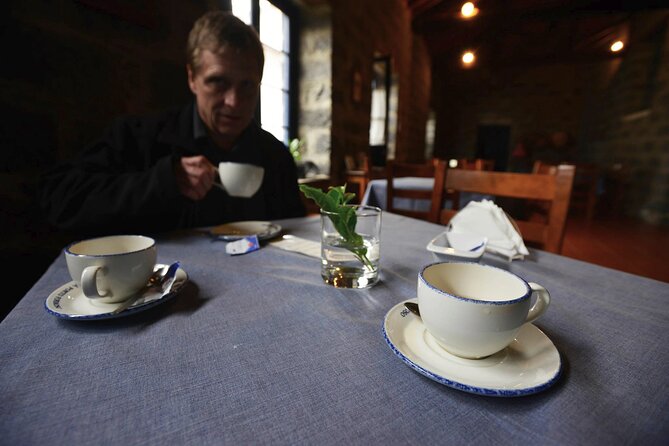 Furnas Private & Customizable Tour (group price) - Visiting Gorreana Tea Plantations and Tasting Local Tea