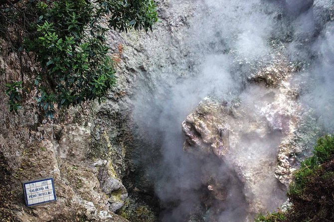 Furnas & Terra Nostra Botanic Park Tour w/Lunch + Hotsprings Bath - Exploring Caldeira das Furnas and Its Volcanic Landscape